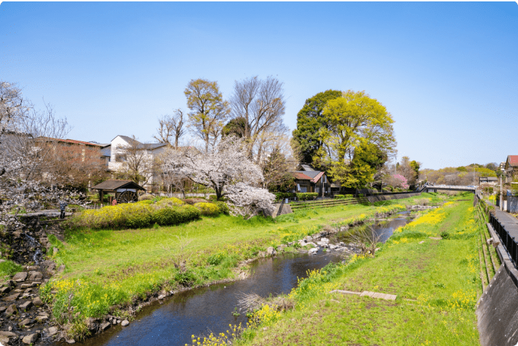 河川敷での緑地管理事例