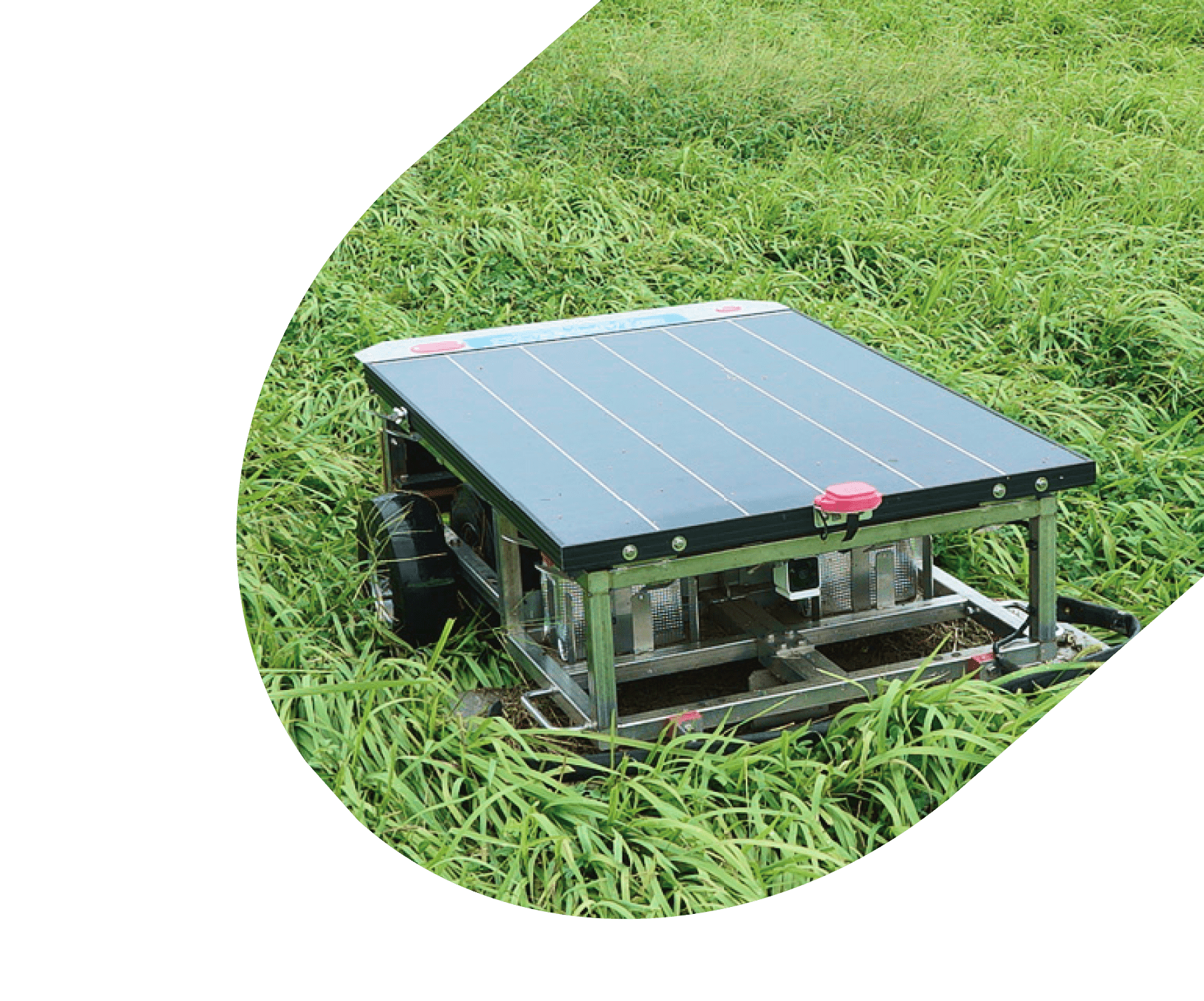 緑地で活動するグラプレス緑地管理ロボット