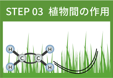 踏圧メカニズム詳細図3