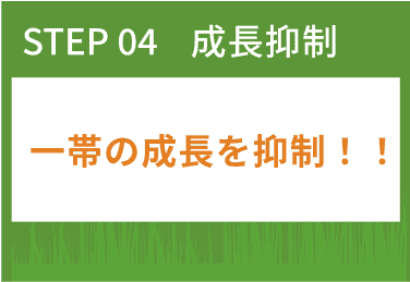 踏圧メカニズム詳細図4